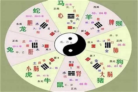 诺字五行|诺五行属性